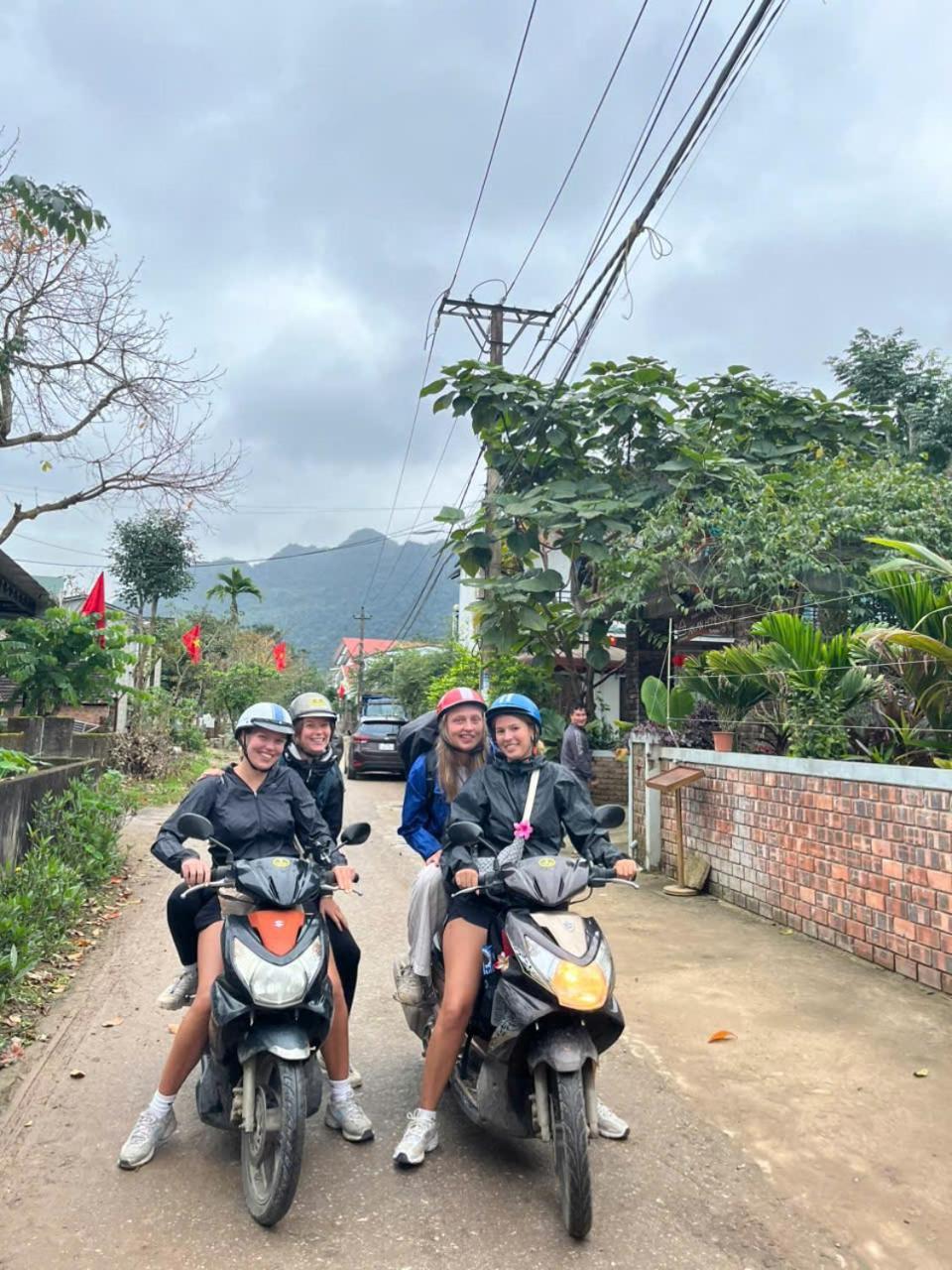 An An Homestay Bungalow Phong Nha Eksteriør billede